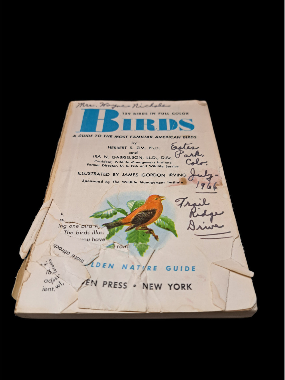 Vintage 1956 Birds: A Guide to the Most Familiar American Birds